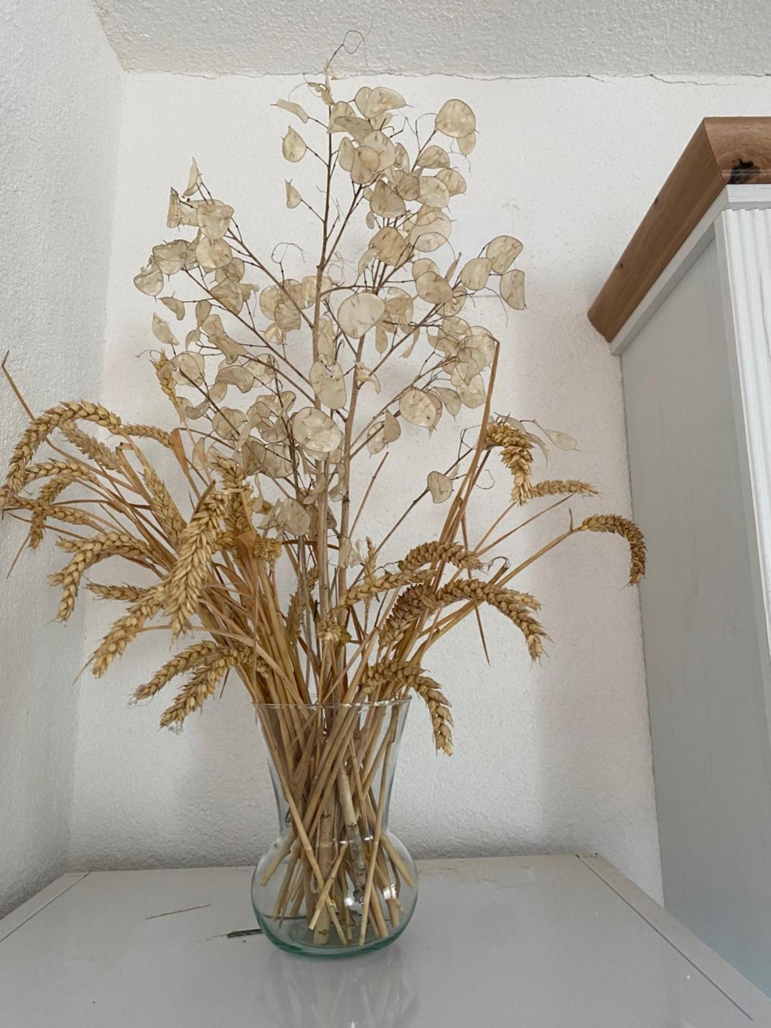 Kuterevo Apartman Kremen מראה חיצוני תמונה