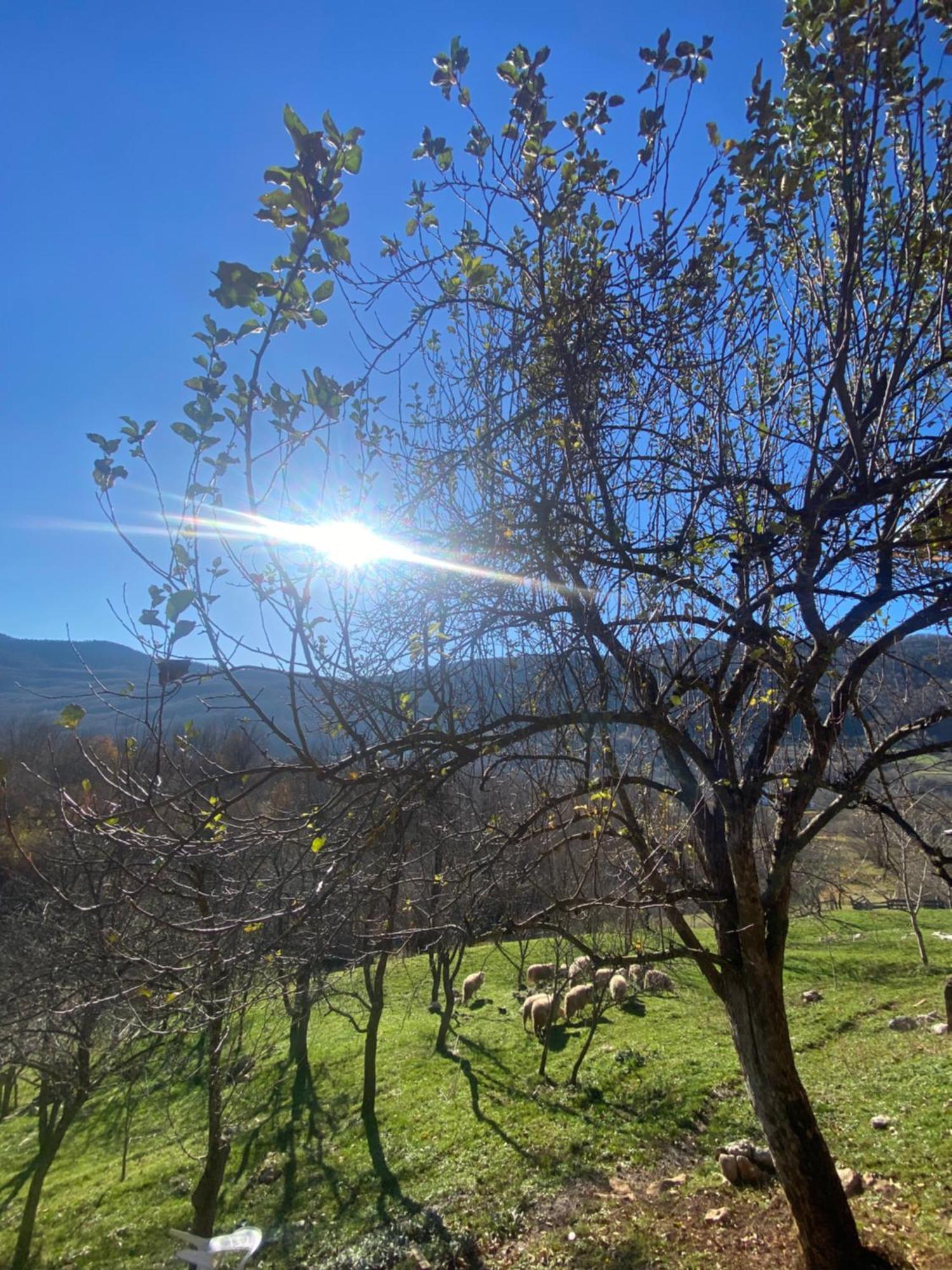 Kuterevo Apartman Kremen מראה חיצוני תמונה